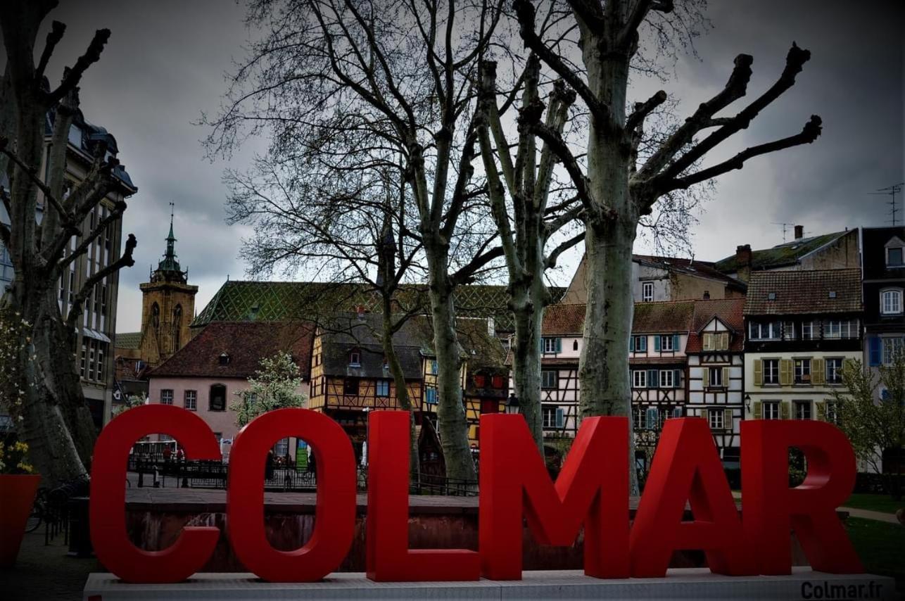 Charmant Appartement Cosy Porte De Colmar Sainte-Croix-en-Plaine Dış mekan fotoğraf