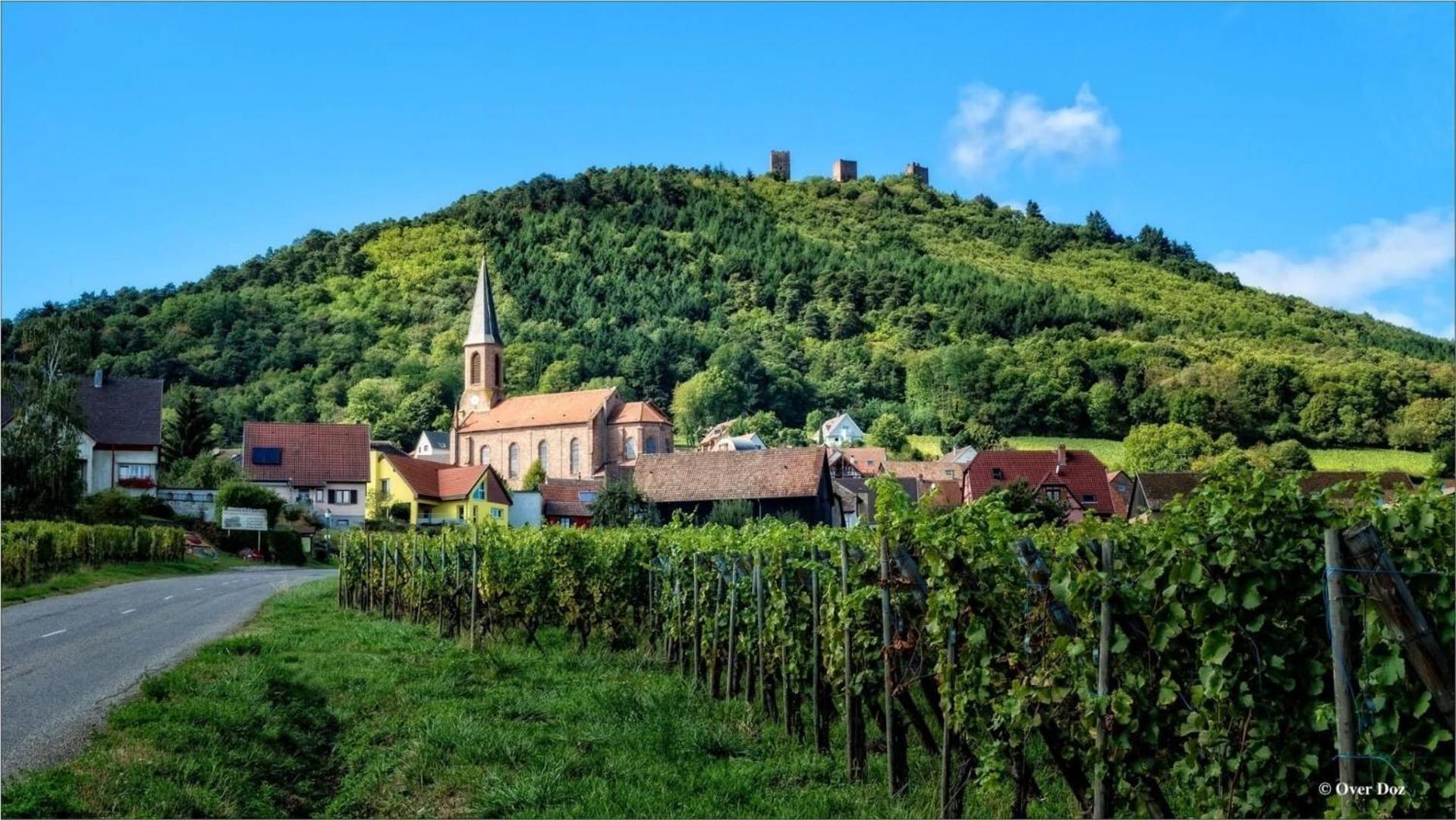 Charmant Appartement Cosy Porte De Colmar Sainte-Croix-en-Plaine Dış mekan fotoğraf